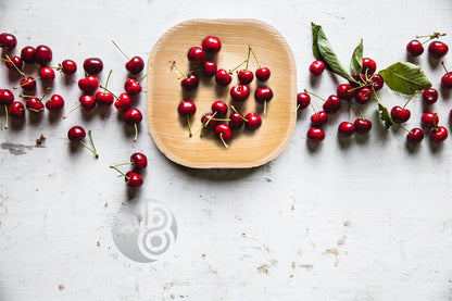 BOSNAL Palm Leaf Plates - SnagItCo.