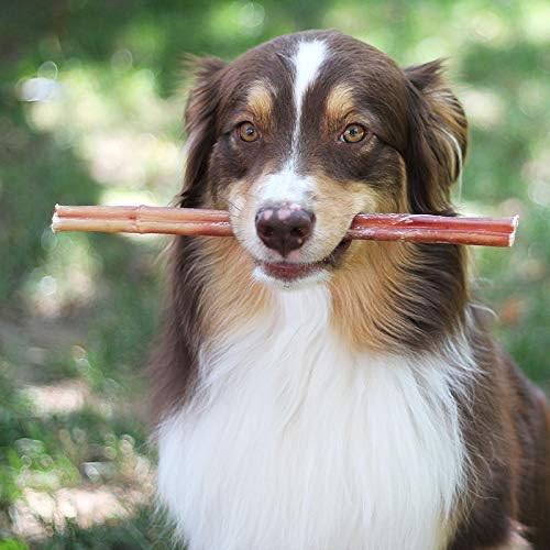 Brazilian Grass - Fed Beef Bully Sticks - SnagItCo.