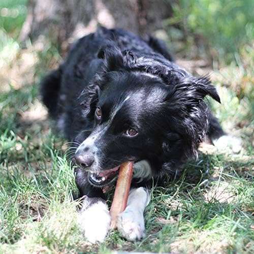 Brazilian Grass - Fed Beef Bully Sticks - SnagItCo.