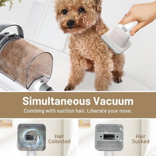 Dog Grooming Kit Pet Hair Cleaning Low Noise Vacuum Cleaner And - SnagItCo.