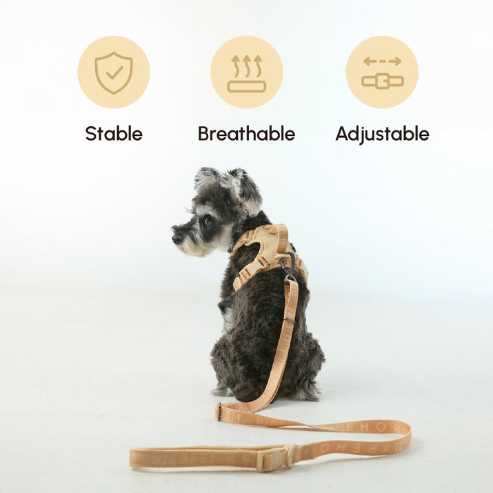 PADDED ACTIVE PET LEASH - APRICOT - SnagItCo.