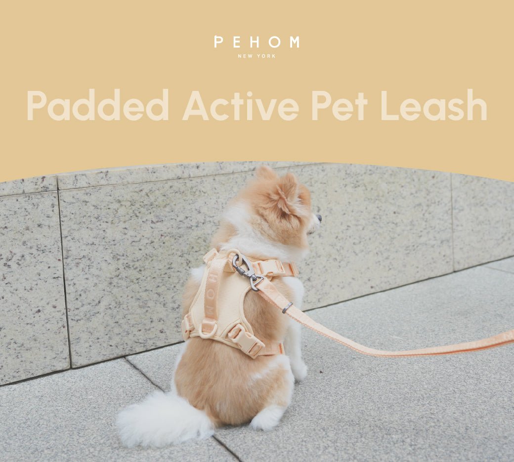 PADDED ACTIVE PET LEASH - APRICOT - SnagItCo.