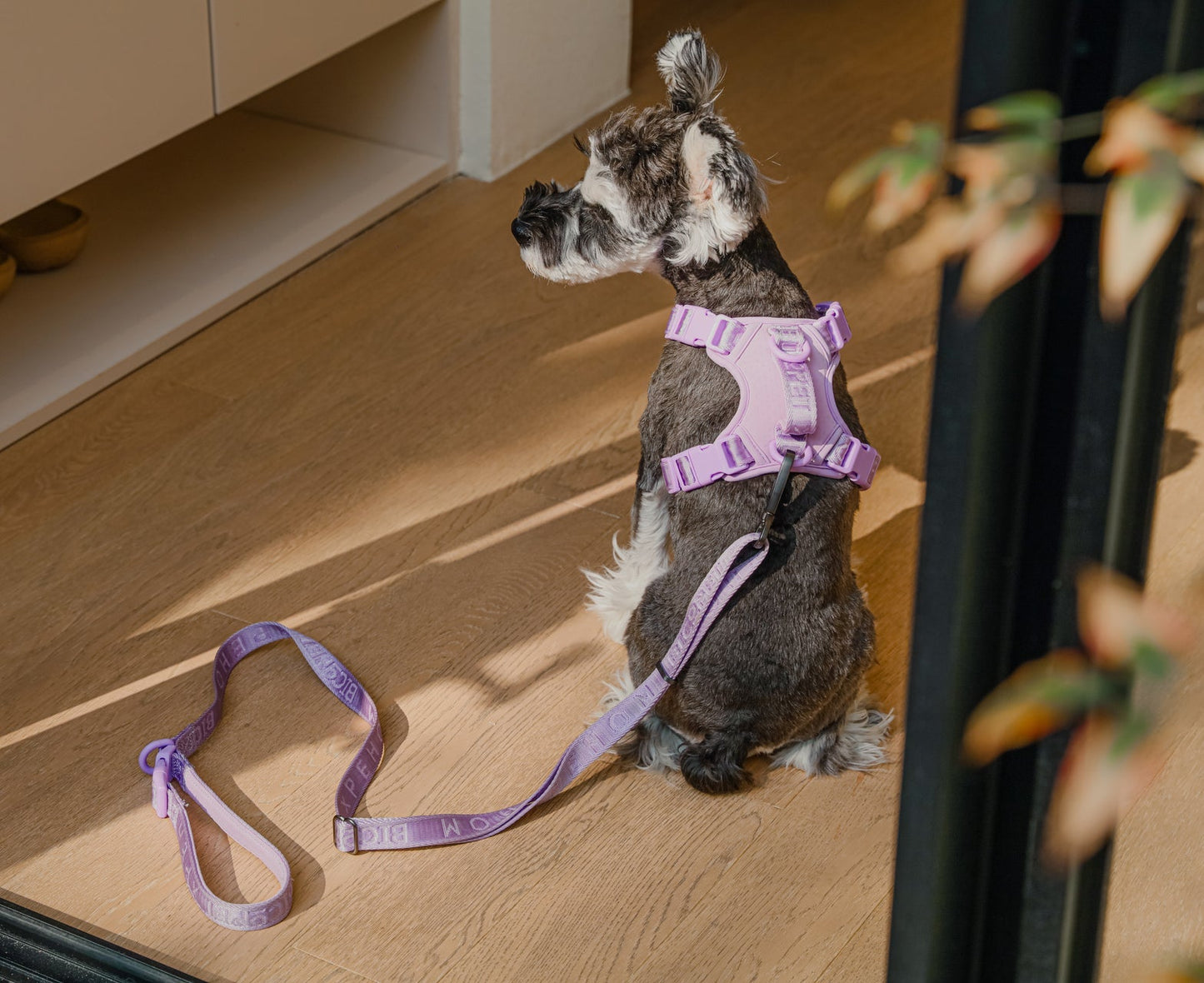 PADDED ACTIVE PET LEASH - APRICOT - SnagItCo.