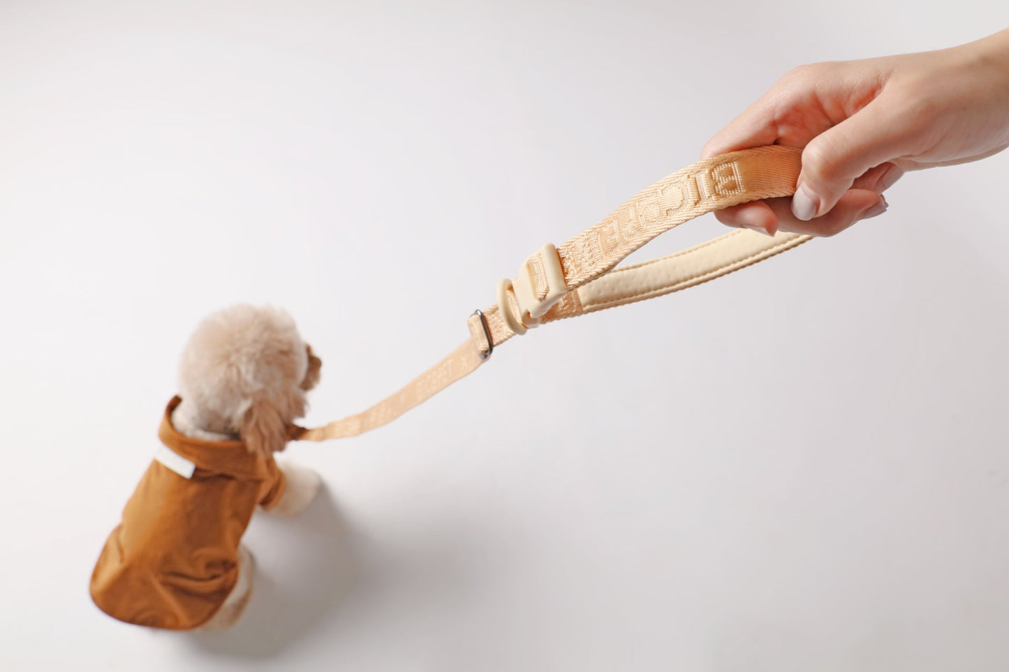 PADDED ACTIVE PET LEASH - APRICOT - SnagItCo.