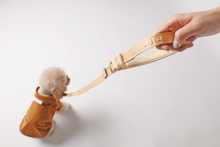 PADDED ACTIVE PET LEASH - APRICOT - SnagItCo.