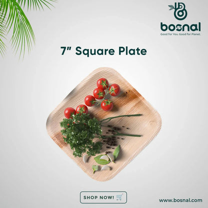 Palm Leaf Biodegradable 10" & 7" Square Plates, 5" Bowls with Cutlery Combo (25 pcs each of Plates, Bowls, Spoons, Knives, 50 Forks), Eco - Friendly, Disposable Dinnerware for Parties, Weddings & Events - SnagItCo.