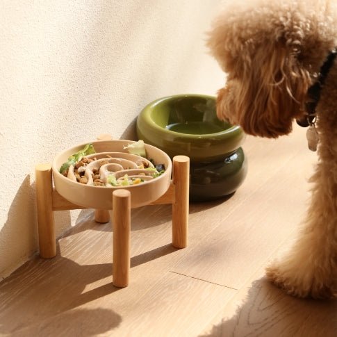 [Spark] Slow Feeder Dog Bowls - Red / Green / Blue - SnagItCo.