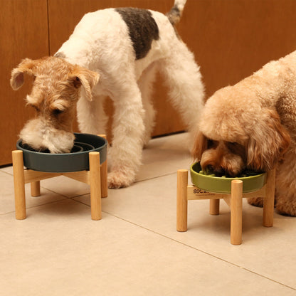 [Spark] Slow Feeder Dog Bowls - Red / Green / Blue - SnagItCo.